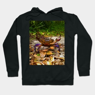 Colorful Crab 1 Hoodie